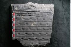 Foto (Detailansicht) von Sigillaria reniformis Brongniart (NHMW-GEO-2024-0188-11086)